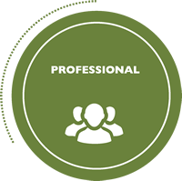 professional